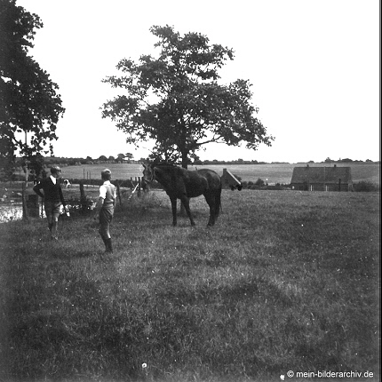 1963_Sommer_a 1963_Sommer_a