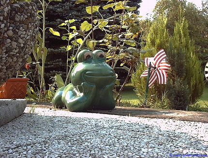 2000-07-10_0001_Frosch_a 2000-07-10_0001_Frosch_a
