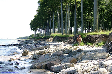 20070719_14_Hasmark_Umgebung_300 20070719_14_Hasmark_Umgebung_300